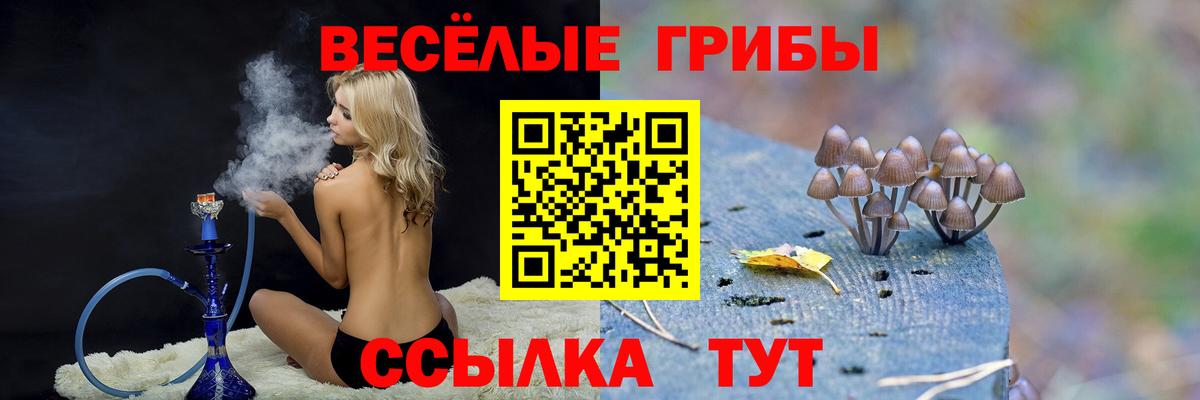 Галлюциногенные грибы мицелий  Галлюциногенные грибы мицелий  Лесосибирск  Вход с VPN 